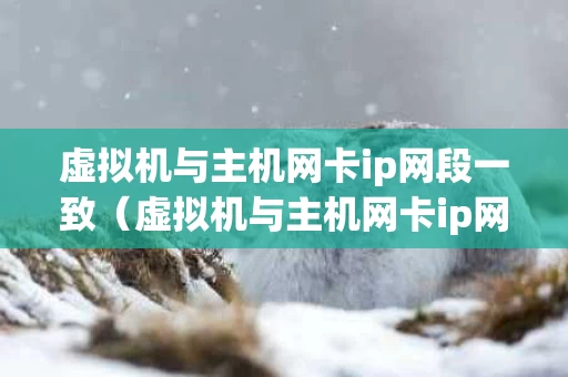 虚拟机与主机网卡ip网段一致（虚拟机与主机网卡ip网段一致怎么办）