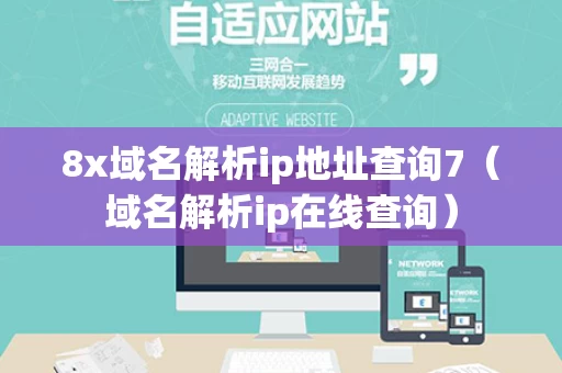 8x域名解析ip地址查询7（域名解析ip在线查询）