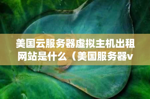 美国云服务器虚拟主机出租网站是什么（美国服务器vps租用）