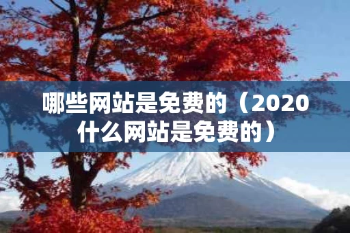 哪些网站是免费的（2020什么网站是免费的）