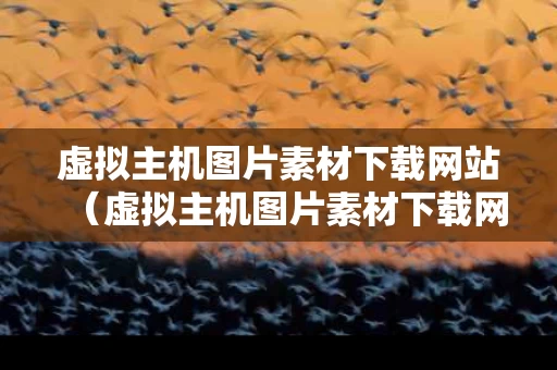 虚拟主机图片素材下载网站（虚拟主机图片素材下载网站大全）