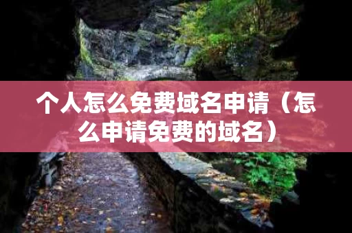 个人怎么免费域名申请（怎么申请免费的域名）