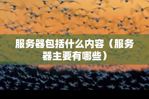 服务器包括什么内容（服务器主要有哪些）