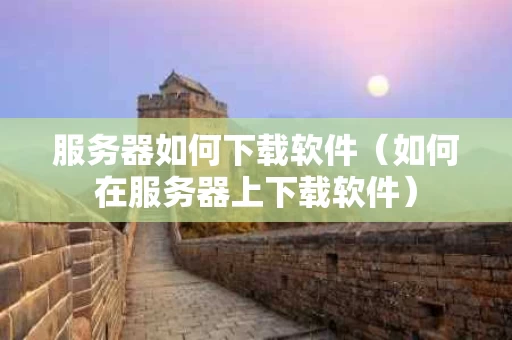 服务器如何下载软件（如何在服务器上下载软件）