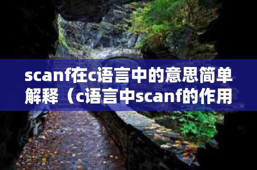 scanf在c语言中的意思简单解释（c语言中scanf的作用）