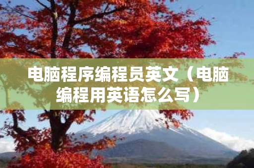 电脑程序编程员英文（电脑编程用英语怎么写）