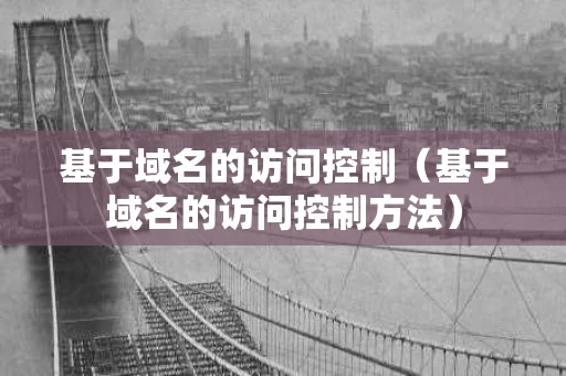 基于域名的访问控制（基于域名的访问控制方法）
