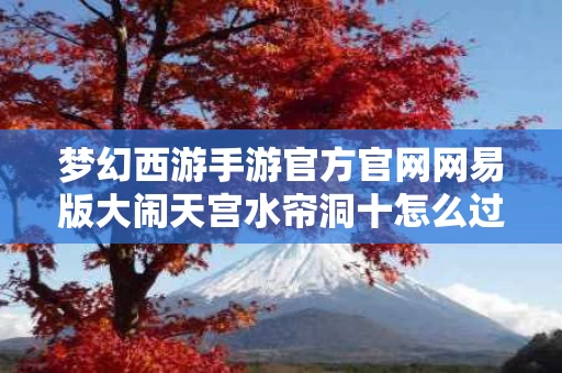 梦幻西游手游官方官网网易版大闹天宫水帘洞十怎么过（梦幻西游手游大闹天宫服务器）