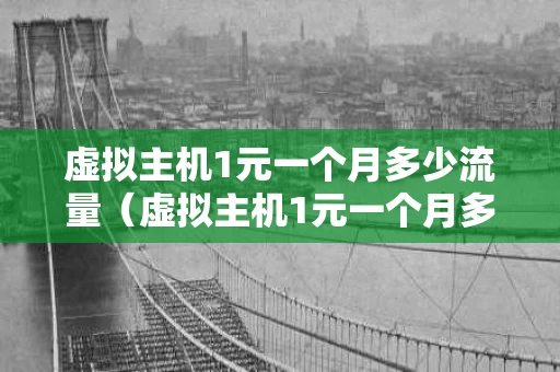 虚拟主机1元一个月多少流量（虚拟主机1元一个月多少流量够用）