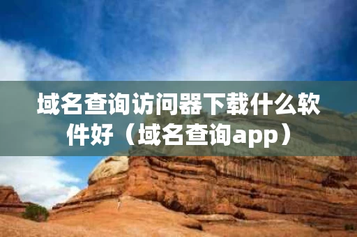 域名查询访问器下载什么软件好（域名查询app）