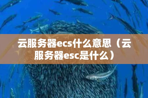 云服务器ecs什么意思（云服务器esc是什么）