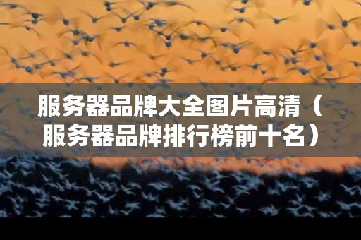 服务器品牌大全图片高清（服务器品牌排行榜前十名）