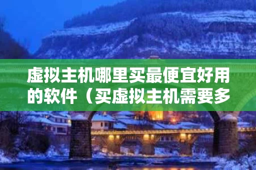 虚拟主机哪里买最便宜好用的软件（买虚拟主机需要多少钱）
