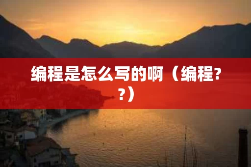 编程是怎么写的啊（编程??）