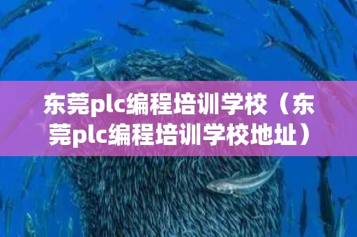 东莞plc编程培训学校（东莞plc编程培训学校地址）