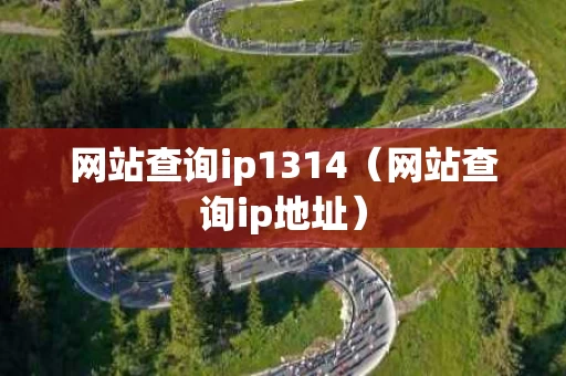 网站查询ip1314（网站查询ip地址）