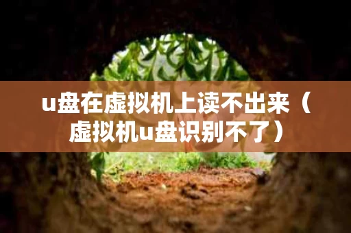 u盘在虚拟机上读不出来（虚拟机u盘识别不了）