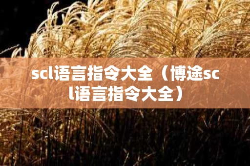 scl语言指令大全（博途scl语言指令大全）