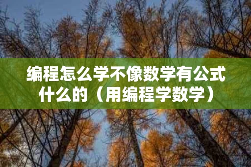 编程怎么学不像数学有公式什么的（用编程学数学）