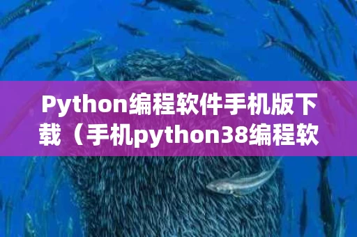 Python编程软件手机版下载（手机python38编程软件）