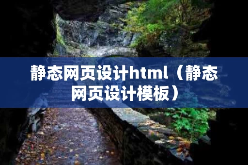 静态网页设计html（静态网页设计模板）