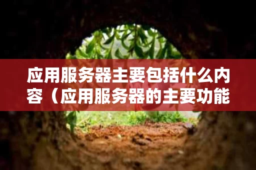 应用服务器主要包括什么内容（应用服务器的主要功能有哪些）