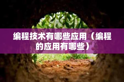 编程技术有哪些应用（编程的应用有哪些）