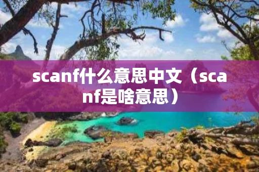 scanf什么意思中文（scanf是啥意思）