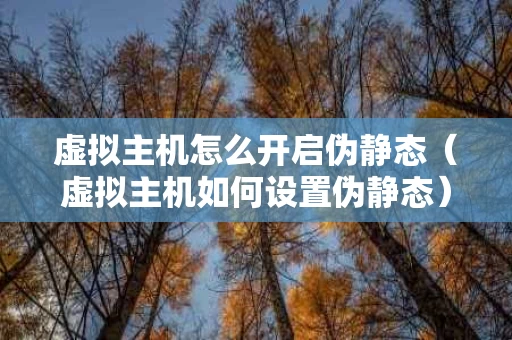 虚拟主机怎么开启伪静态（虚拟主机如何设置伪静态）
