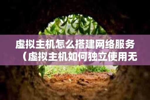 虚拟主机怎么搭建网络服务（虚拟主机如何独立使用无线网）