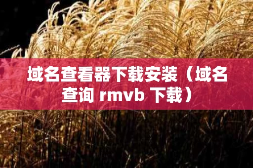 域名查看器下载安装（域名查询 rmvb 下载）