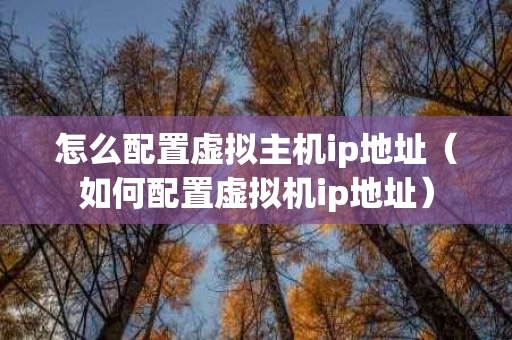 怎么配置虚拟主机ip地址（如何配置虚拟机ip地址）
