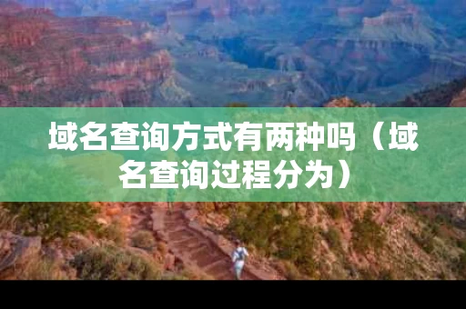 域名查询方式有两种吗（域名查询过程分为）