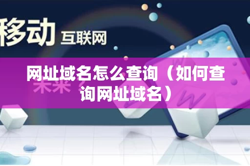 网址域名怎么查询（如何查询网址域名）