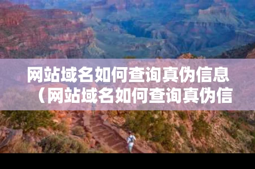 网站域名如何查询真伪信息（网站域名如何查询真伪信息呢）