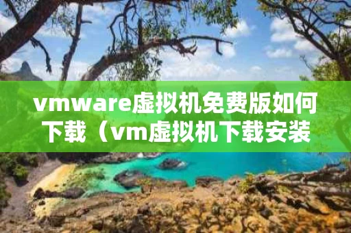 vmware虚拟机免费版如何下载（vm虚拟机下载安装）