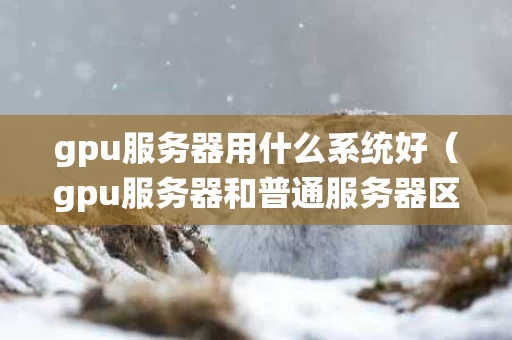 gpu服务器用什么系统好（gpu服务器和普通服务器区别）