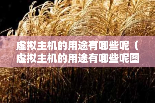 虚拟主机的用途有哪些呢（虚拟主机的用途有哪些呢图片）