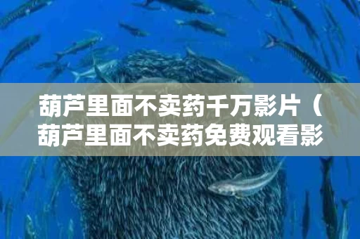 葫芦里面不卖药千万影片（葫芦里面不卖药免费观看影视大全）