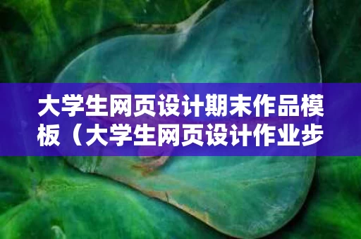 大学生网页设计期末作品模板（大学生网页设计作业步骤）