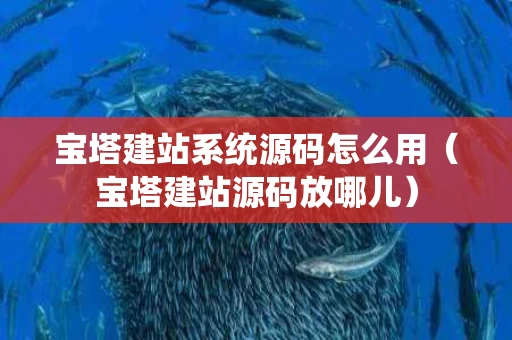 宝塔建站系统源码怎么用（宝塔建站源码放哪儿）
