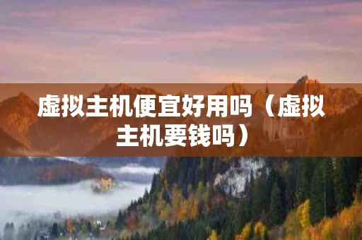虚拟主机便宜好用吗（虚拟主机要钱吗）