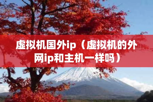 虚拟机国外ip（虚拟机的外网ip和主机一样吗）