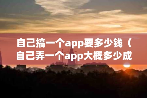 自己搞一个app要多少钱（自己弄一个app大概多少成本）