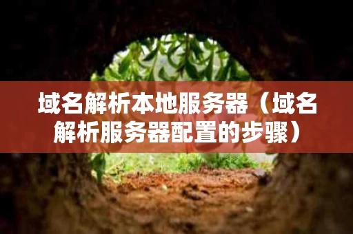 域名解析本地服务器（域名解析服务器配置的步骤）