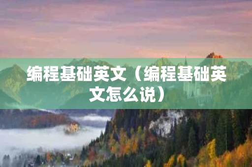 编程基础英文（编程基础英文怎么说）