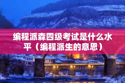 编程派森四级考试是什么水平（编程派生的意思）