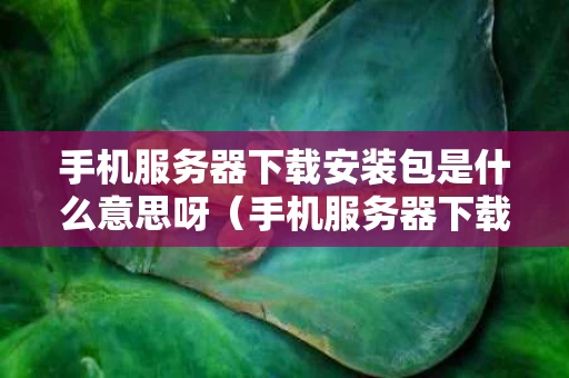 手机服务器下载安装包是什么意思呀（手机服务器下载安装包是什么意思呀怎么安装）