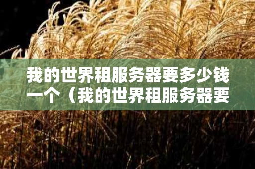 我的世界租服务器要多少钱一个（我的世界租服务器要多少钱一个）