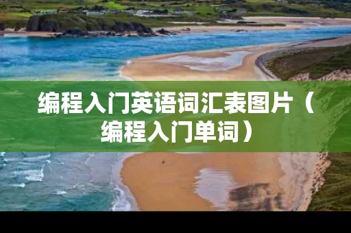 编程入门英语词汇表图片（编程入门单词）